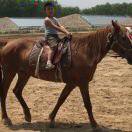 釋永性(大學網上考試專業代答)的頭像