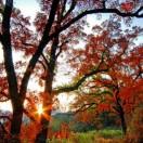 溫怡思暖的頭像