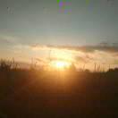 用心捧起心的頭像