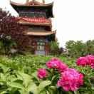 人生若只如初見的頭像