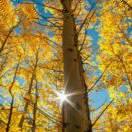 海闊天空的頭像