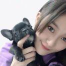 阿聯酋的小丸子的頭像