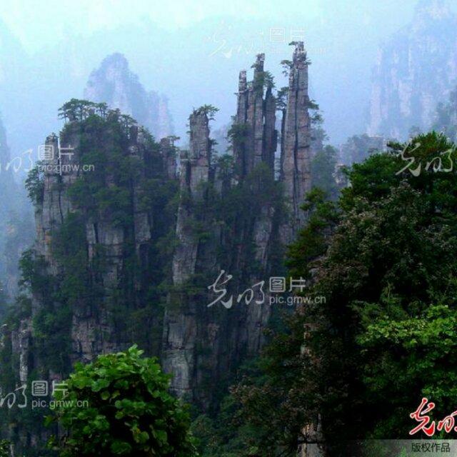 深山@清泉的頭像