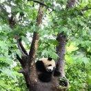 遺忘就是幸福的頭像