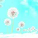 sunshinee☆陽光的頭像