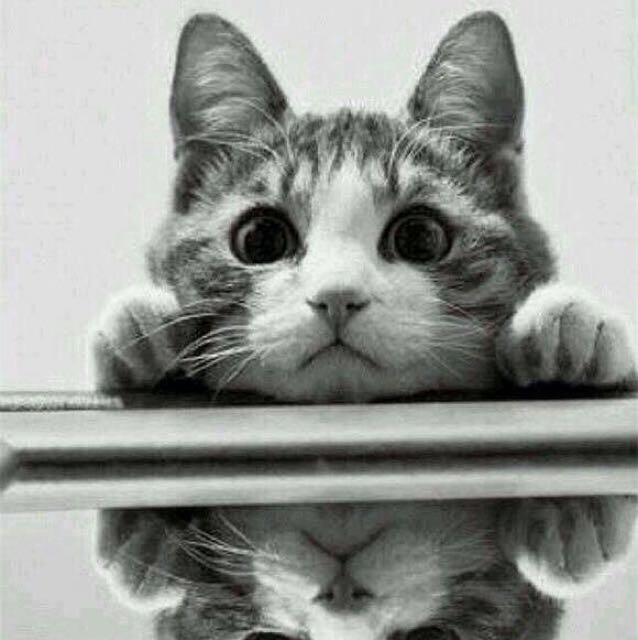 喊我女王萬萬歲i的頭像