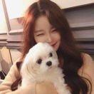 independence的頭像