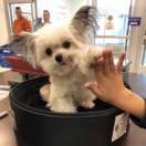 唯物主義打敗了唯心主義的頭像