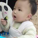 夢(mèng)夢(mèng)吖的頭像