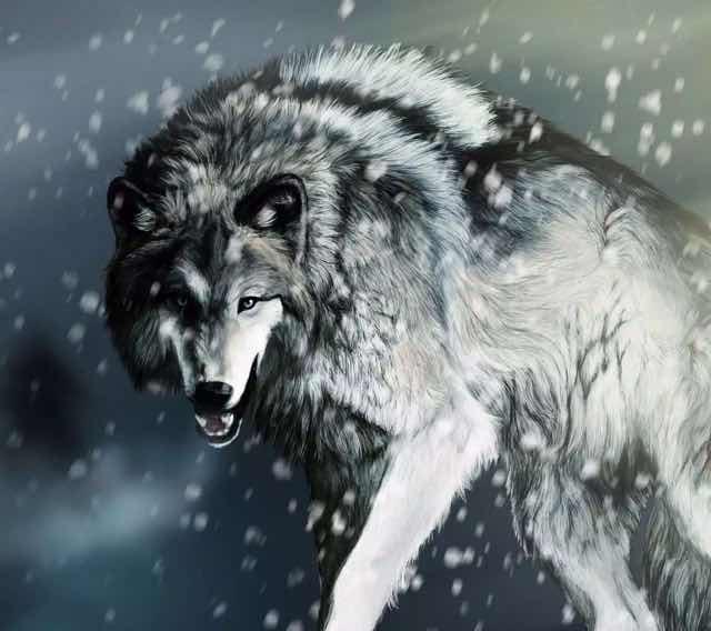 小蔡13695929884的頭像