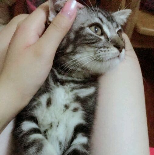 A奧體游泳健身顧問于群的頭像