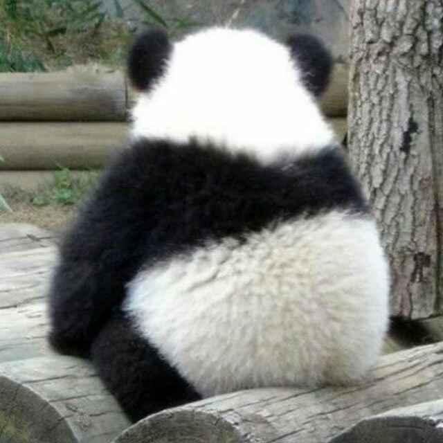 @aa????				燈下黑的頭像