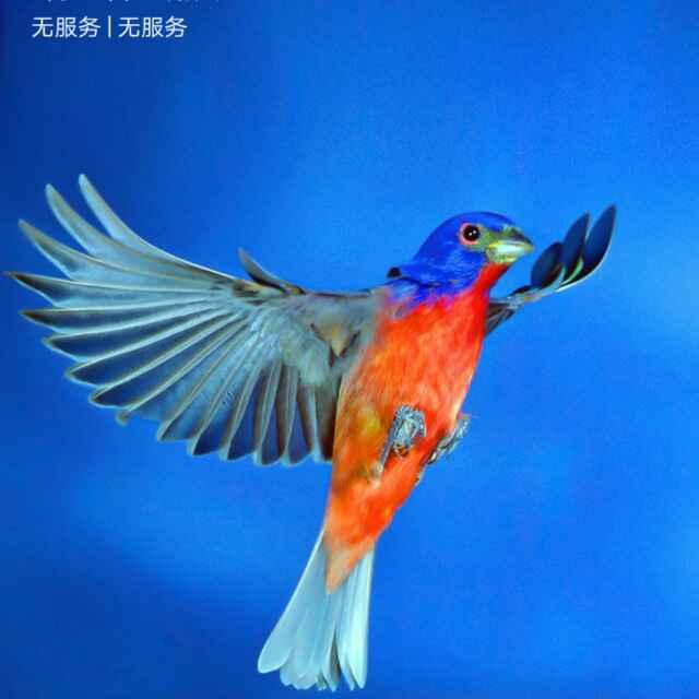 得到了也就那樣的頭像