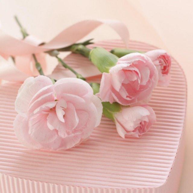 天作之合的頭像