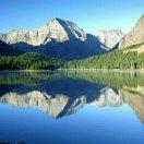 信用卡資產保全的頭像