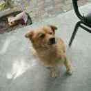 風輕云淡的頭像