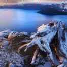 幸福家人的頭像