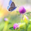 淡墨留痕的頭像