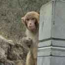 酸辣粉的頭像