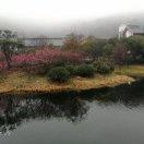 隨遇而安的頭像