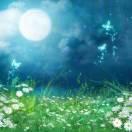 高山流水的頭像