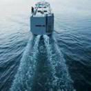 天道好輪回的頭像