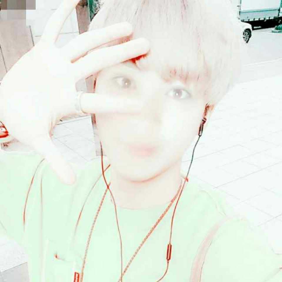 菲拉朵		招代理的頭像