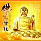 d幸運(yùn)之星的頭像