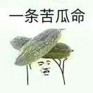 空中飛舞的屁的頭像