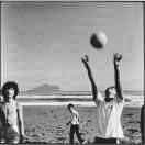 瓦爾登湖的頭像