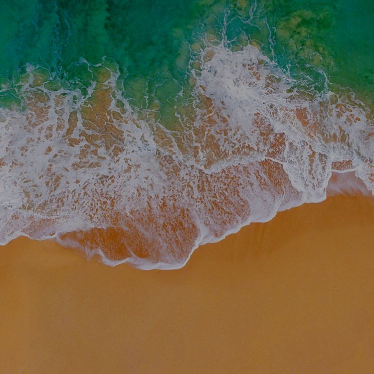 家咯某兔的頭像