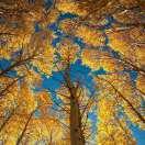 銜角孤獨的煙火的頭像