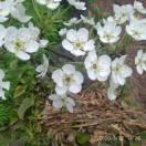 堅持就是勝利的頭像