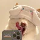 韓你吃飯的頭像