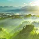 雪女無憂的頭像