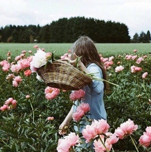 ﹏始于初見(jiàn)?的頭像