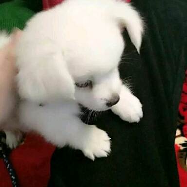 丶		深情相擁		m的頭像