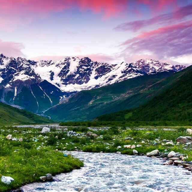 幸福來敲門的頭像