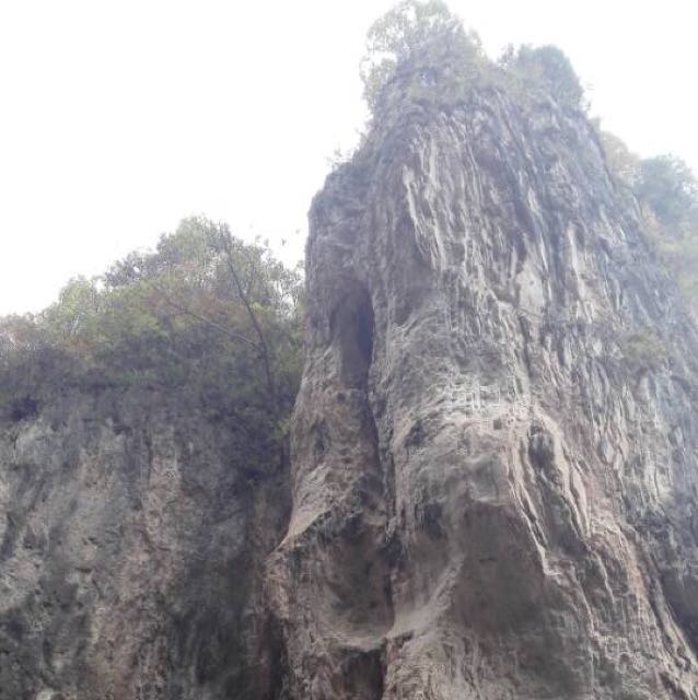 不怎么懂你的頭像