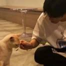 達克拉瑪的頭像