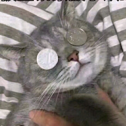 你猜我猜不猜的頭像