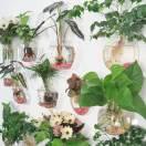 越努力越幸運，今生圓的頭像