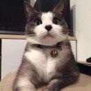 幾味嘮友的頭像