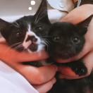 幾分之幾的頭像