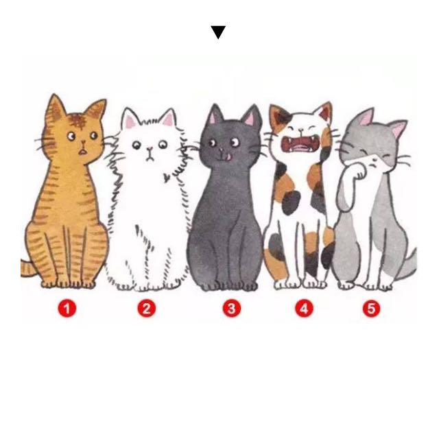 黑色€胭脂的頭像