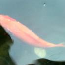 水的歸宿的頭像