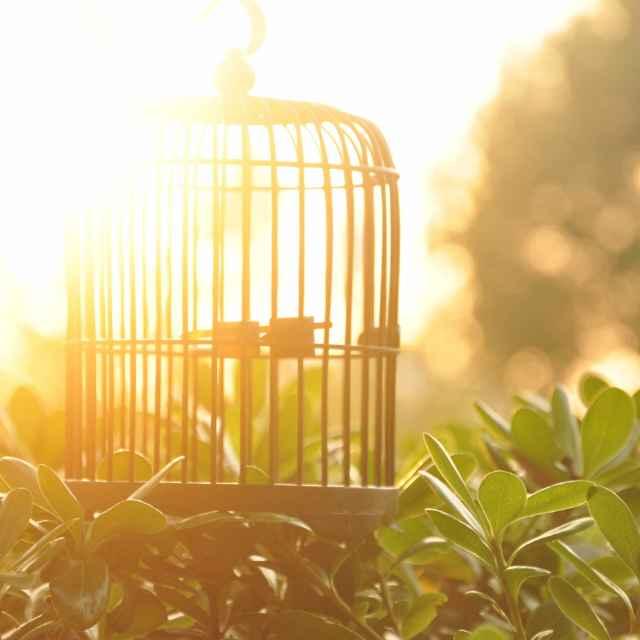 快樂一家的頭像