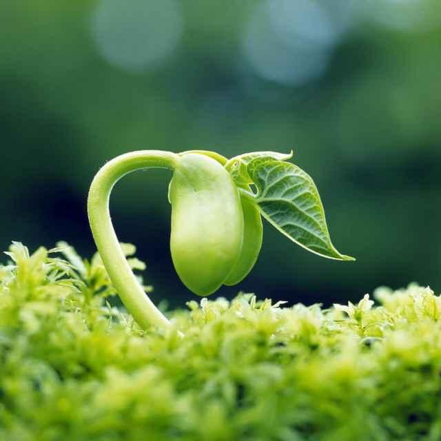 歲月無(wú)痕的頭像