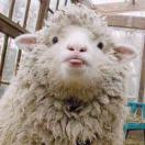 古娜拉黑暗之神的頭像