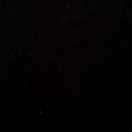 一片葉子的頭像